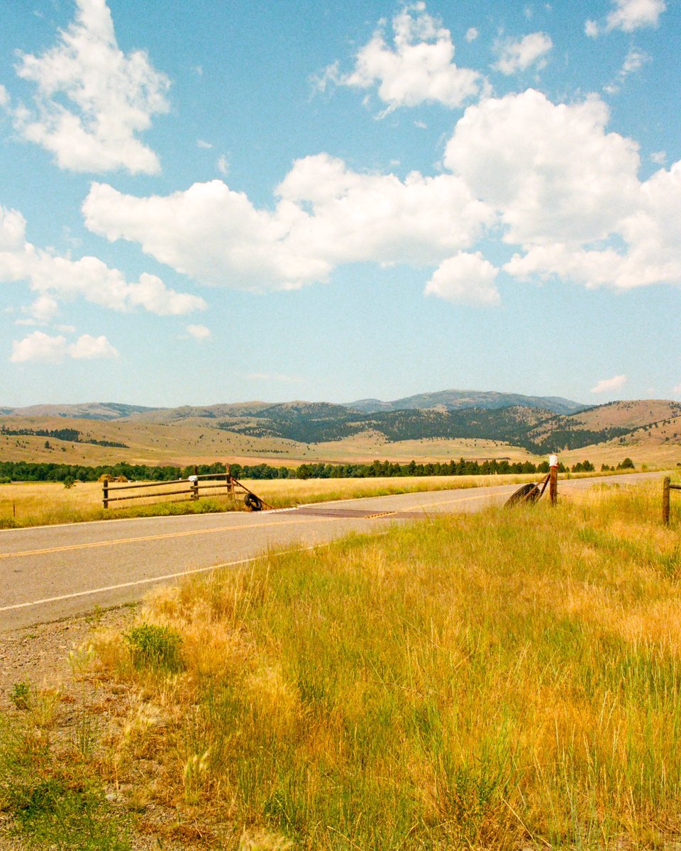 Ryan Warner tweet media