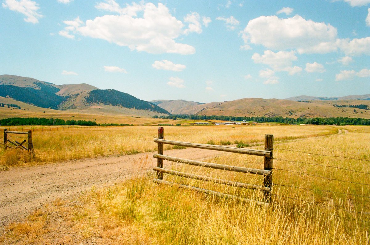 Ryan Warner tweet media