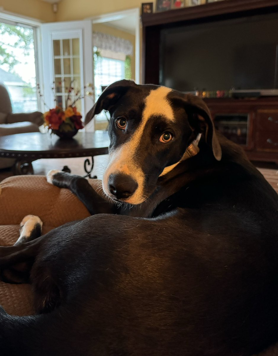 My Sunny! <a href="/NicolleDWallace/">Nicolle Wallace</a>