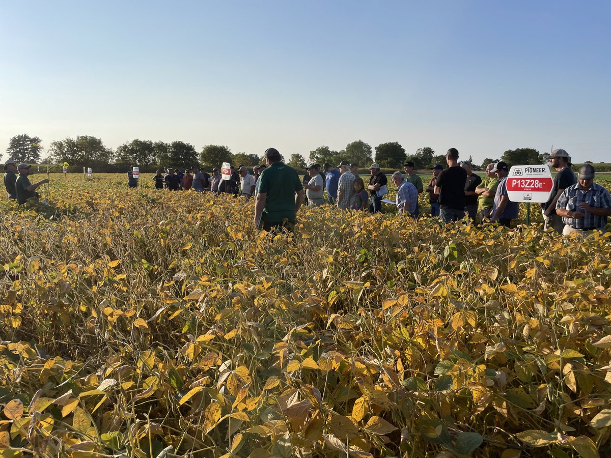 Customers learning about <a href="/PioneerSeedsCA/">Pioneer Seeds Canada</a>   Z series soybeans from <a href="/SeligaJohn/">John Seliga</a> <a href="/pioneertim/">Tim Williams</a>