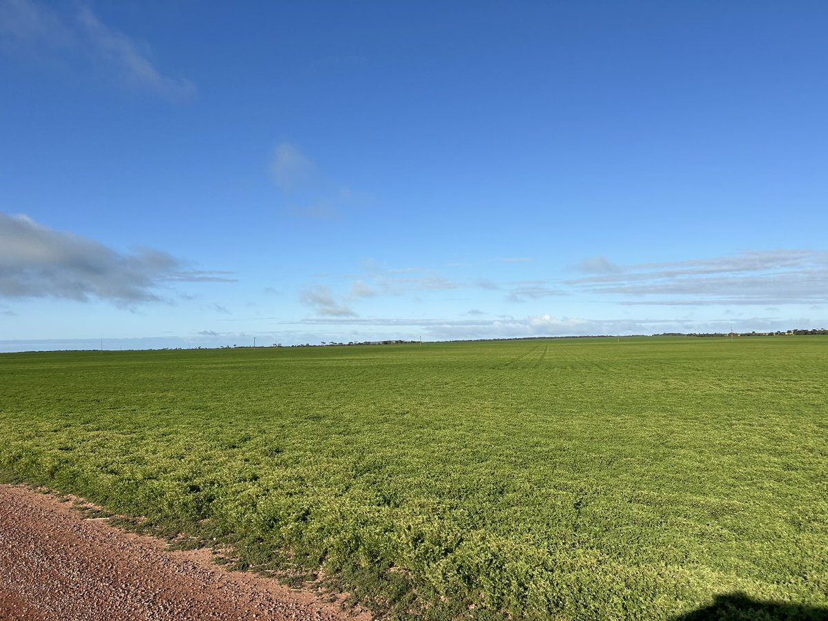 The h‘A’y Team ready to drop the hammer #jacksbeen