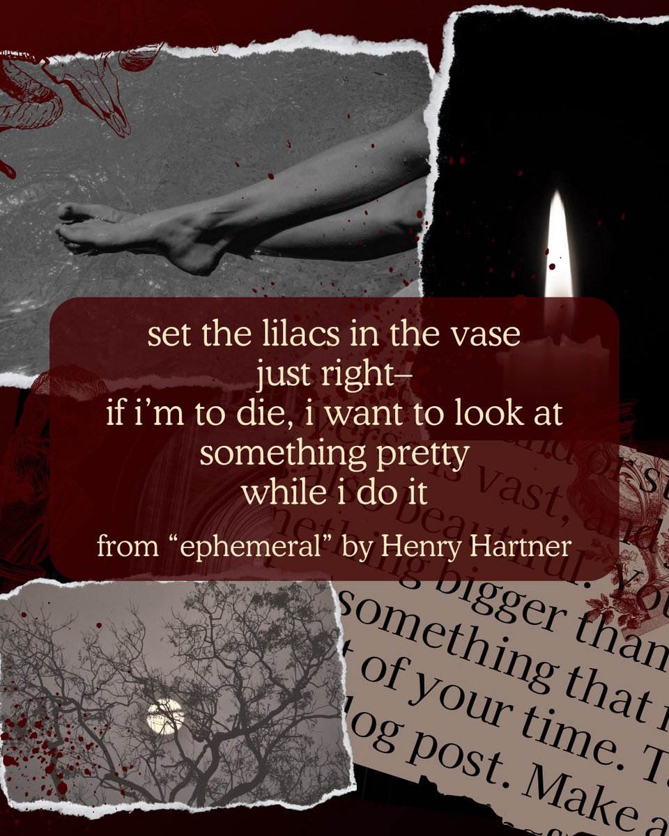 ongaialit's tweet photo. excerpt from “ephemeral” by #henryhartner , now available to read in issue 01 of #ongaialit ! read “ephemeral” and other wonderful poems here: https://t.co/cuEYkB39a3
#literarymagazine #litmag #poetry #poetrycommunity https://t.co/9S91efkhvn