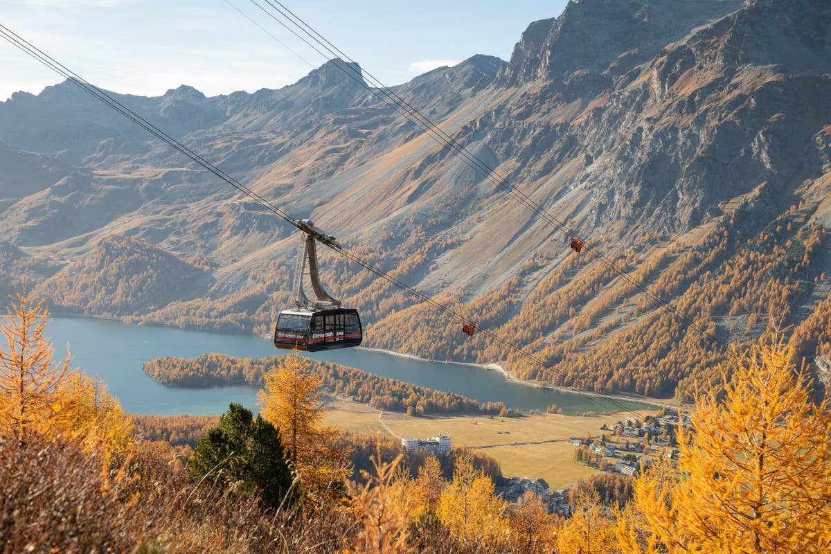 whotels_it's tweet photo. Un autunno da scoprire: l'Indian Summer trasforma l'Engadina in un paradiso di colori e gusto https://t.co/lgY6NoAUOY https://t.co/dKOFOJAJcp