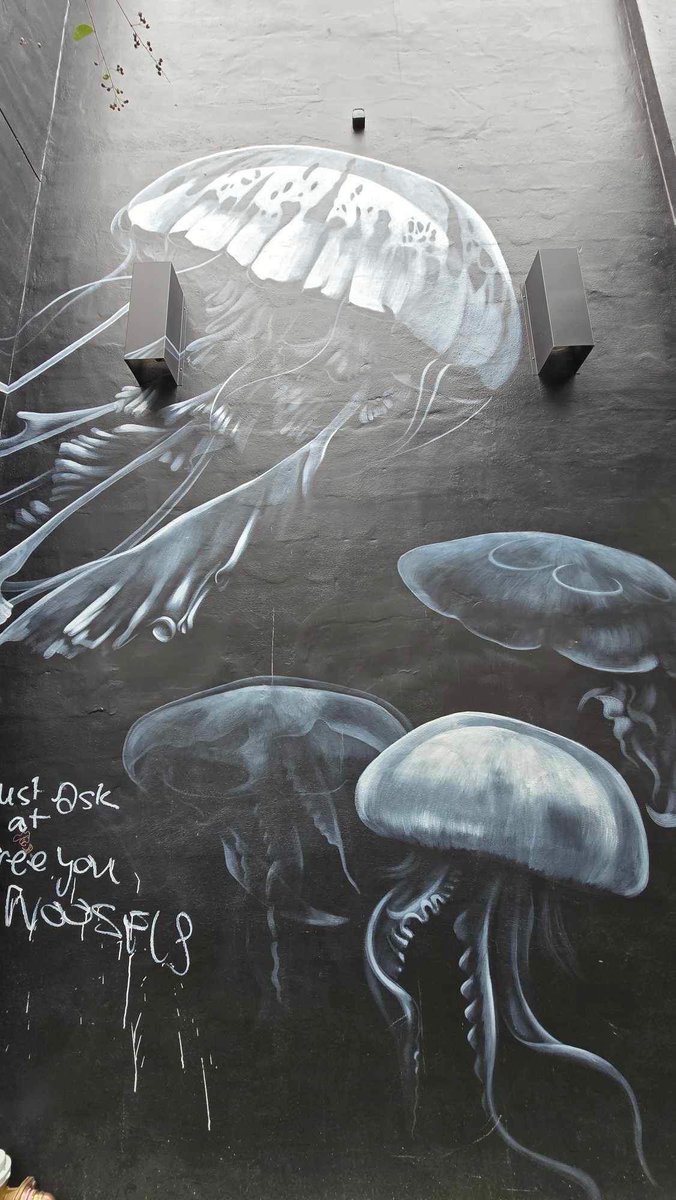 Street art 🪼 in Brisbane 😍