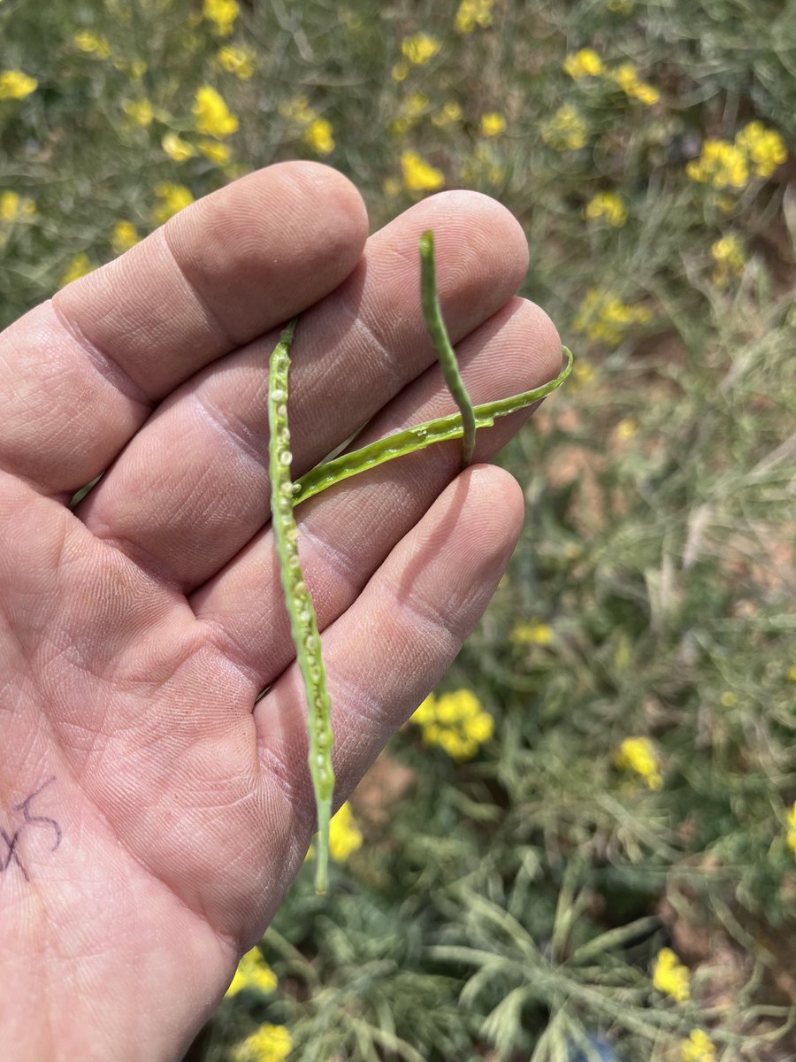 Jamie Wright tweet media