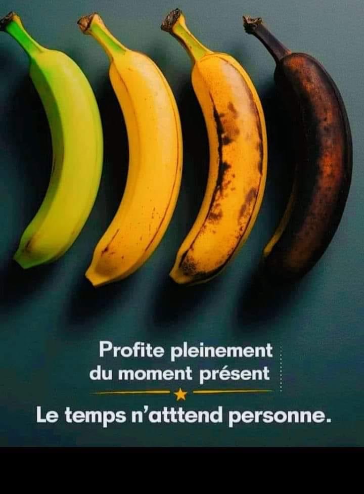 Henri Carrere (@carrerehenri) on Twitter photo 