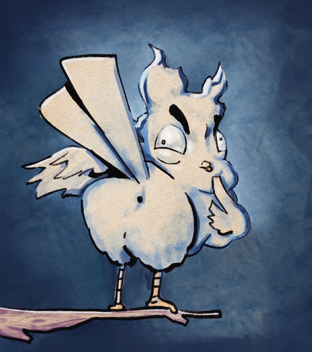 RoosterBark's tweet image. Here’s a cheeky li’l bird.