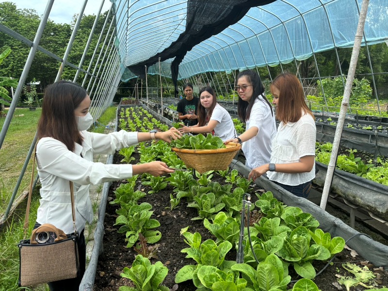 dodkanokpong's tweet photo. นิติศาสตรมหาบัณฑิต ม.ศรีปทุม ร่วมสร้างสังคมแห่งโอกาส ผ่านกิจกรรมจิตอาสาและศึกษาดูงานฟาร์มออร์แกนิกเพื่อการพัฒนาคนพิการ
https://t.co/rh9JyuDWyM https://t.co/Vzi5xpozGw