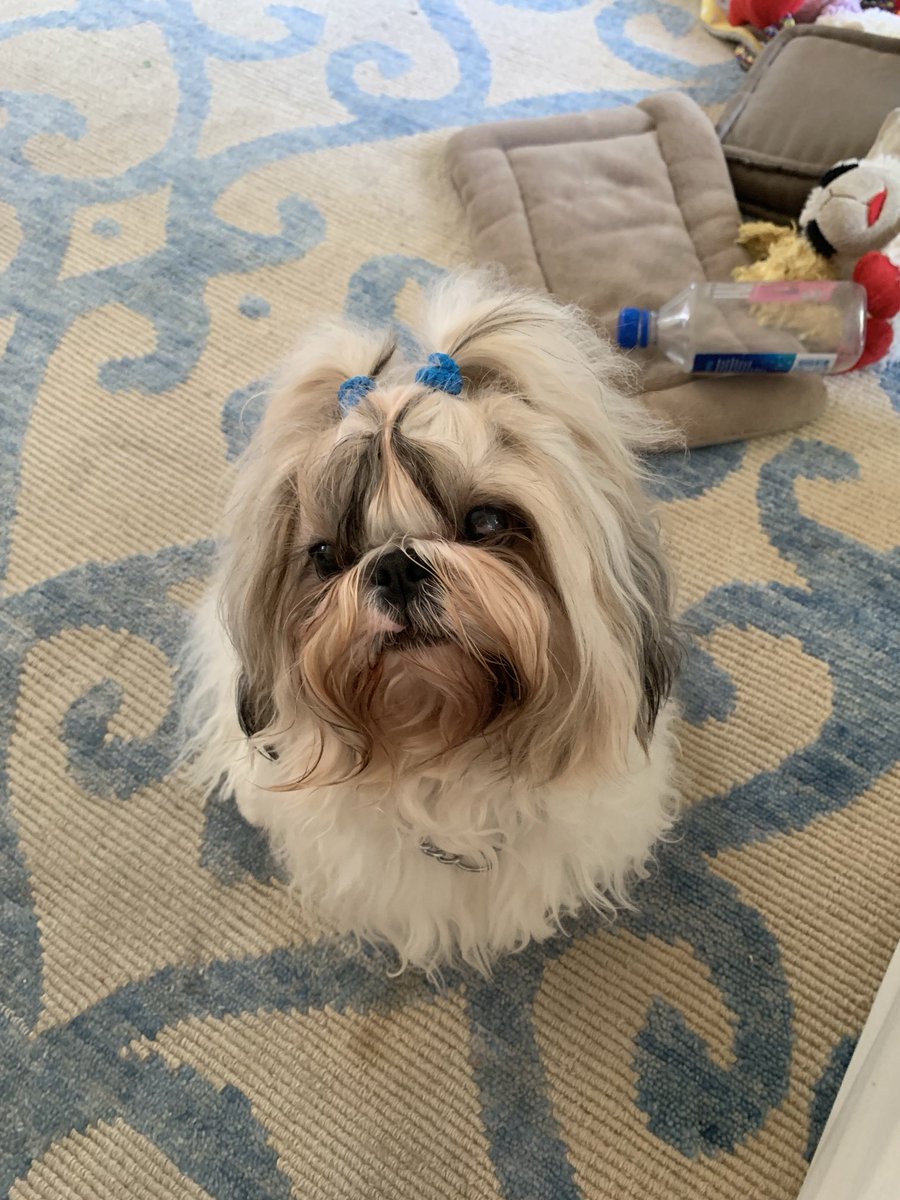 The Paper Shop, Inc. (@thepapershopinc) on Twitter photo 