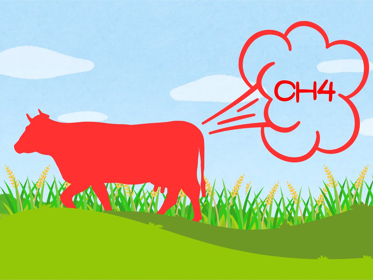 Green Queen Media tweet media