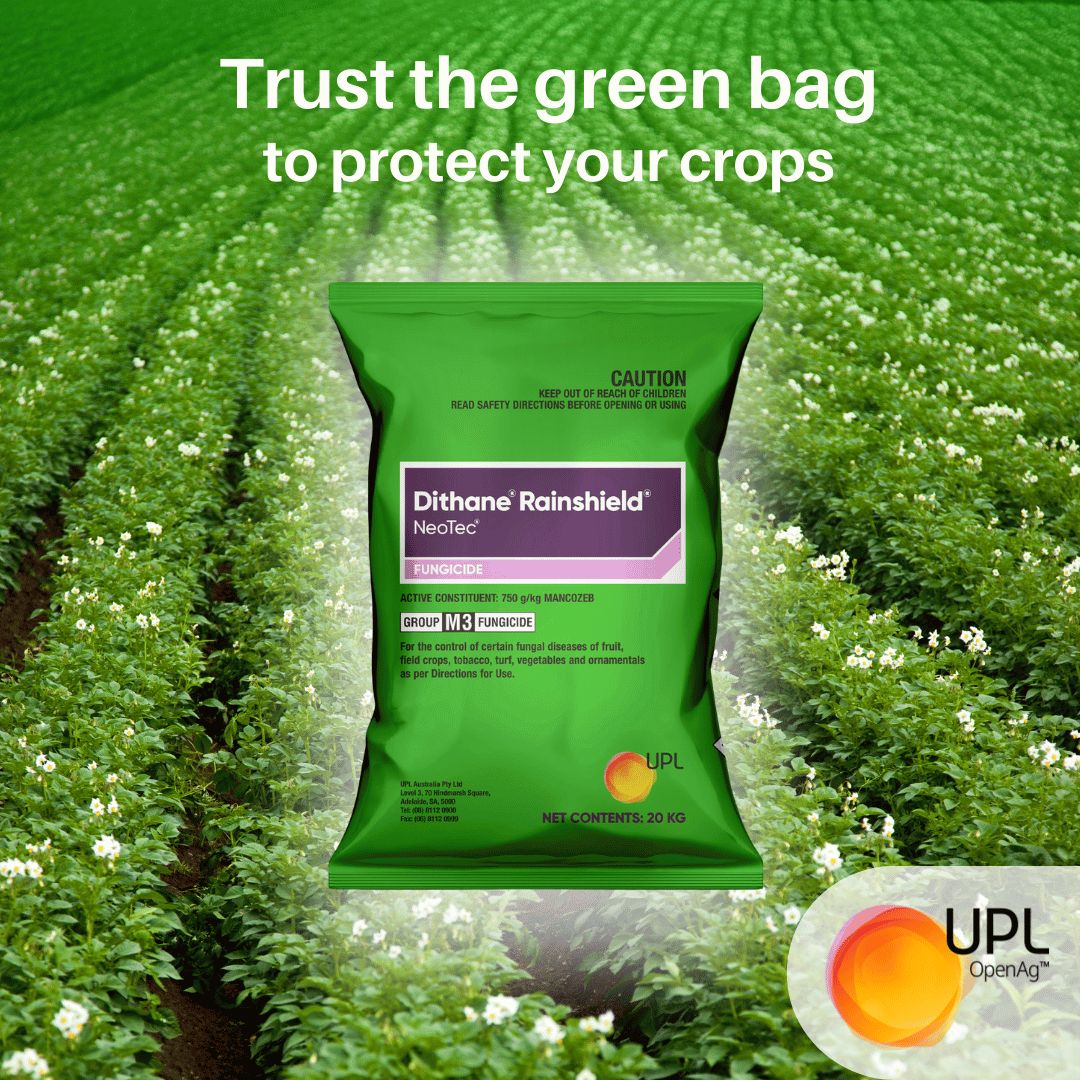 UPLAUSLtd's tweet image. 🍇Get robust fungal disease control for a wide range of crops with #Dithane® #Rainshield® now part of the #UPL portfolio🫛

🛡️The proven performance with advanced Rainshield® technology protects even in wet conditions 🌧️

Trust the green bag 👉 bit.ly/Dithane_Rainsh…