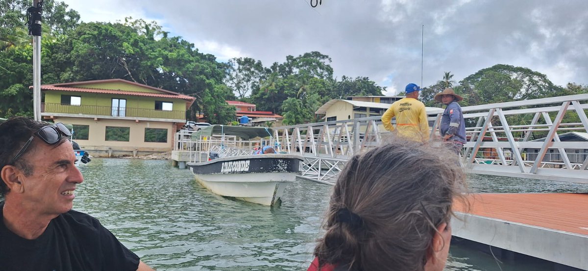 Boca Chica Panama - gateway to the Gulf of Chiriqui.  We have a beautiful new port, whales until the end of October (más o meno) and pristine islands to visit #visitbocachica <a href="/ATP_panama/">Autoridad de Turismo de Panamá</a> <a href="/BocaChicaLodge/">BocaChicaBayEcoLodge</a> #whales #islands