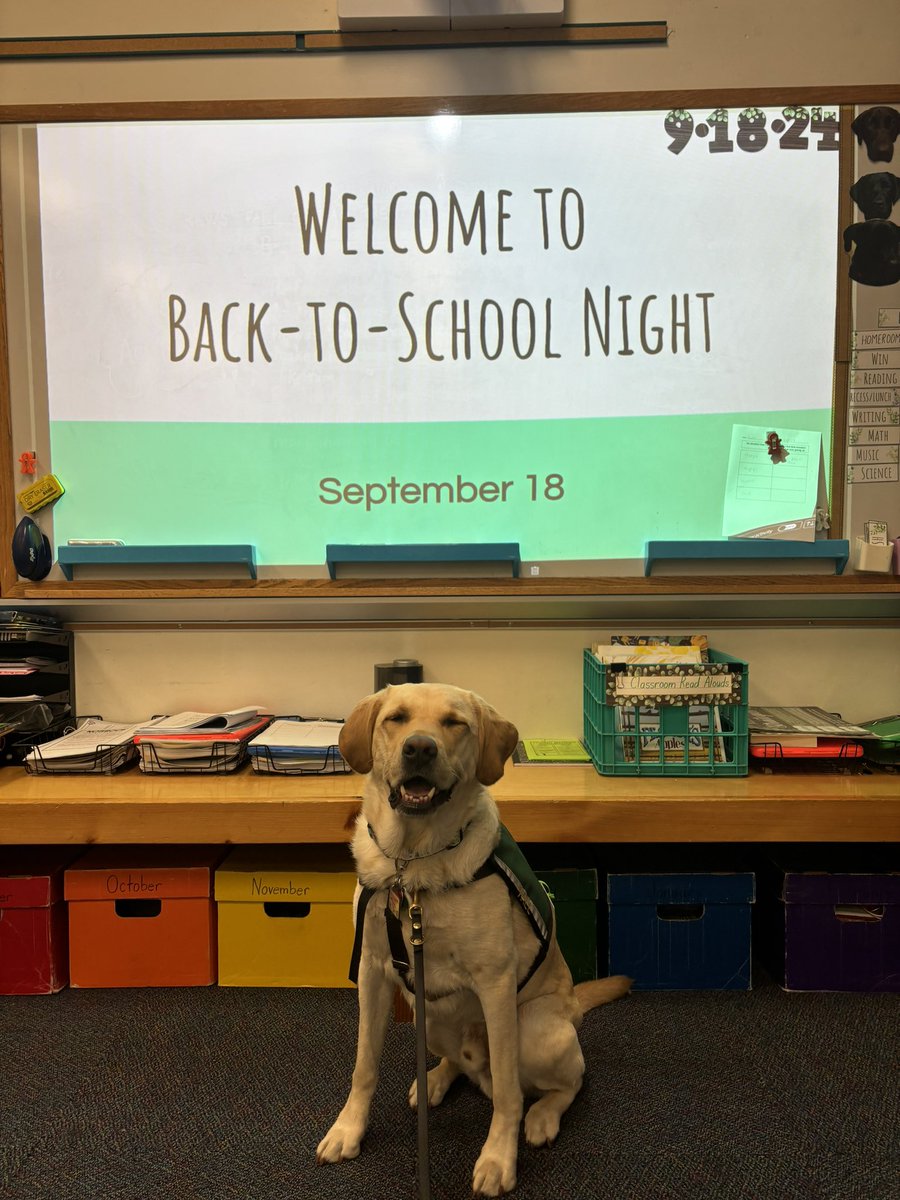 Brenda Pfau (@pfaubrenda) on Twitter photo Someone was a hit at his first Back to School Night!@Dr_BethHoffman <a href="/HopewellES/">Hopewell Elementary School</a> <a href="/claudiascotti10/">Claudia Scotti</a> Someone was a hit at his first Back to School Night!@Dr_BethHoffman <a href="/HopewellES/">Hopewell Elementary School</a> <a href="/claudiascotti10/">Claudia Scotti</a>