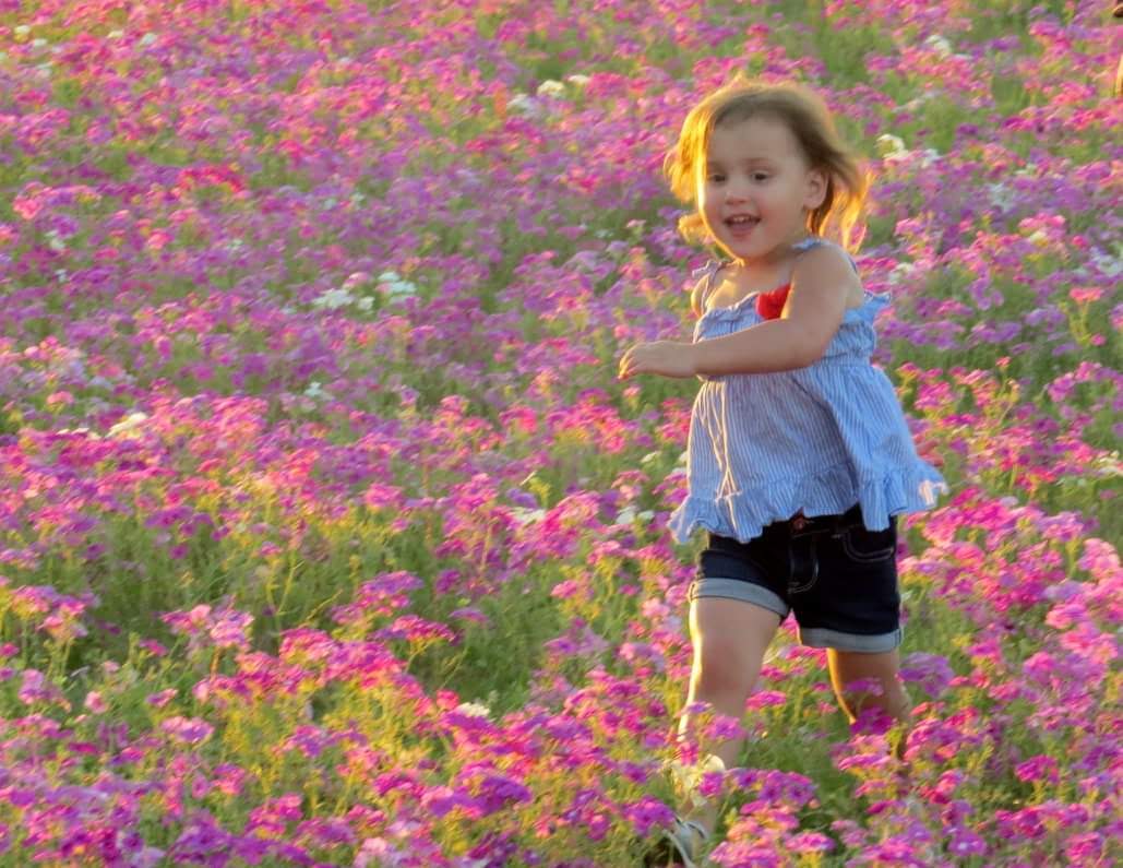 #sophiastrong tweet media