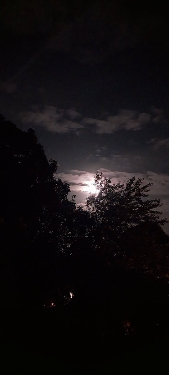AllenIntelman's tweet photo. I'm in the hood in Wilmington delaware... it's incredibly beautiful if ya just look for it. https://t.co/hsO30Hlf8J