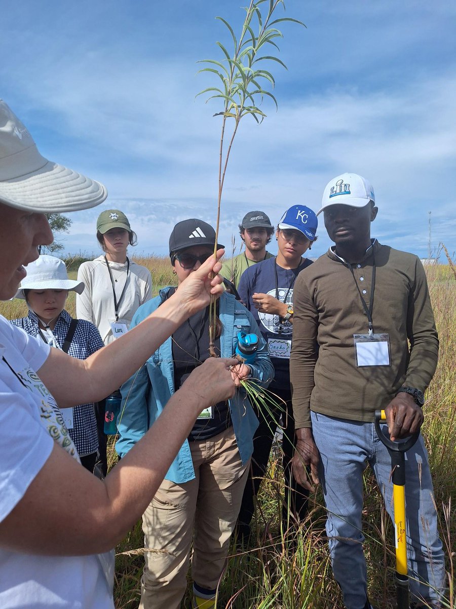 Go Belowground! (@exfumo1) on Twitter photo 📢Go Belowground! 2024-the course on belowground functional ecology-has just started 🎉1url.cz/2ziQz
Day 1 - Plant Form and Function, From Theophrastus to Plant Economics Spectra, Clonality, Plant Hunt 🌵🌱
Thanks to <a href="/KonzaLTER/">Konza Prairie LTER</a> <a href="/USDA/">Dept. of Agriculture</a> <a href="/IBOTCZ/">Botanický ústav AV ČR/Institute of Botany CAS</a> <a href="/CzechAcademy/">Czech Academy of Sciences</a> #GoBelowground 📢Go Belowground! 2024-the course on belowground functional ecology-has just started 🎉1url.cz/2ziQz
Day 1 - Plant Form and Function, From Theophrastus to Plant Economics Spectra, Clonality, Plant Hunt 🌵🌱
Thanks to <a href="/KonzaLTER/">Konza Prairie LTER</a> <a href="/USDA/">Dept. of Agriculture</a> <a href="/IBOTCZ/">Botanický ústav AV ČR/Institute of Botany CAS</a> <a href="/CzechAcademy/">Czech Academy of Sciences</a> #GoBelowground