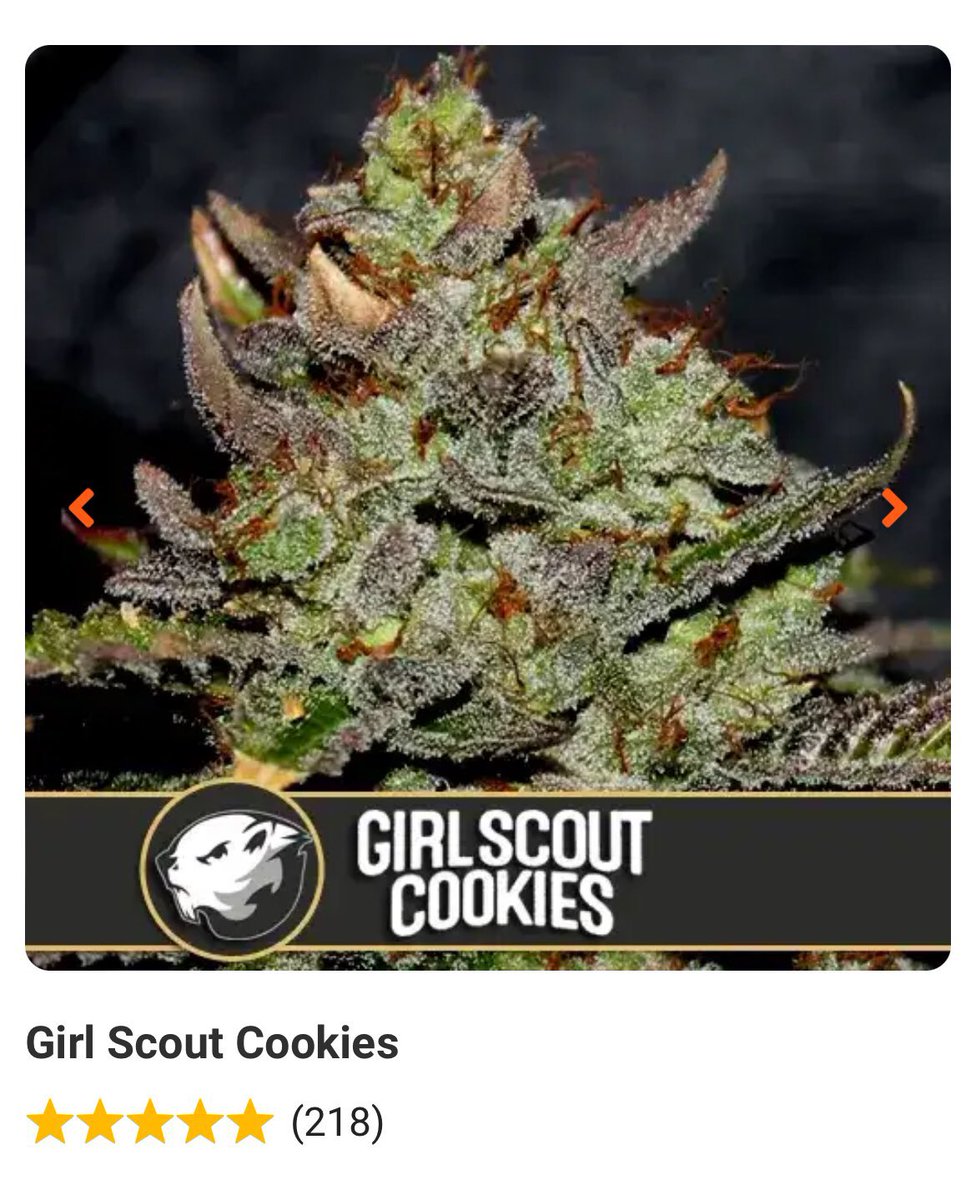 NinjaO0o0's tweet photo. 【在庫紹介】
 [BLIM BURN]
《Girl Scout Cookies》

THC:23%
Sativa-Indica:30% 70%
収穫量:450 - 500 gr/m2
開花時期9〜10週目
効果:リラックス
味:フルーティー

ご要望の方はプロフィールからテレにてご連絡お願いします。 https://t.co/oUhQiwN4yE