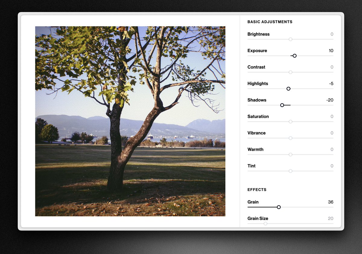 sam king tweet media