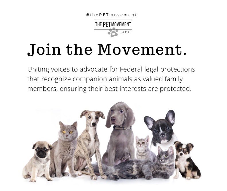 Our mission is to ensure that the best interests of these animals are upheld in all legal considerations, promoting laws and policies that safeguard their well-being and dignity. #ThePETmovement #pets #dogs #cats #petsarefamily #legislature #Reform #USA