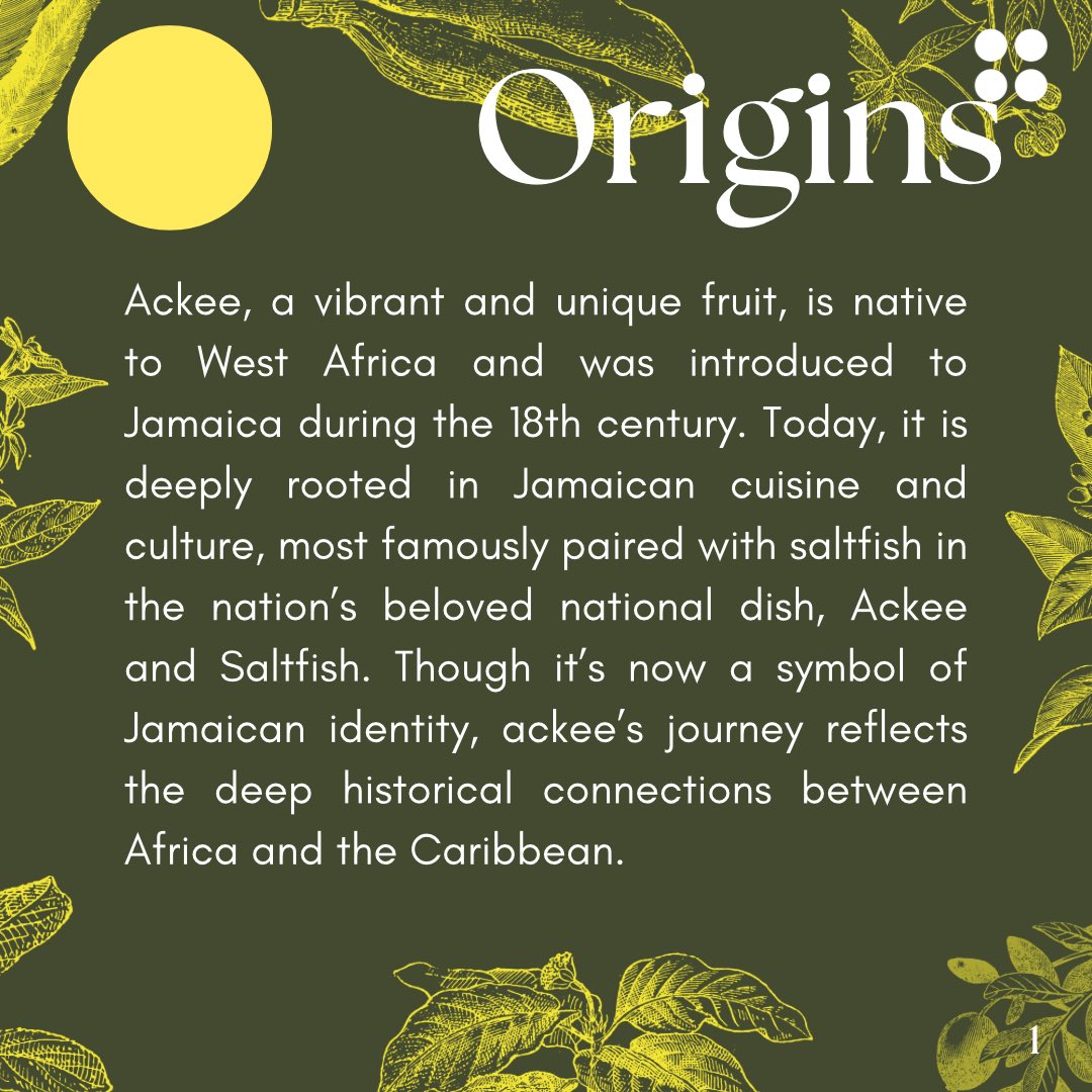 caribbean_dsc's tweet image. 🍒Look into the Ackee: The bold fruit of Jamaica’s culinary heritage!

#Ackee #Fruit #FlavorsoftheCaribbean #Caribbeancuisine