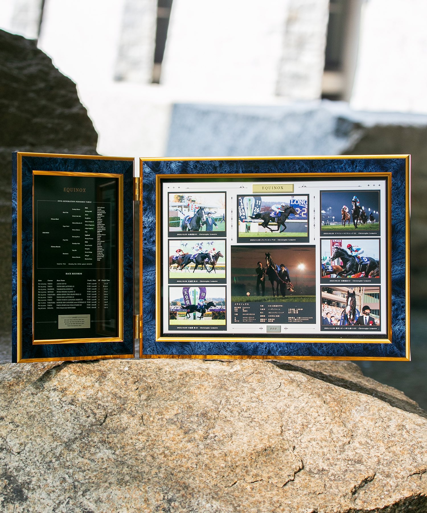 イクイノックス 引退記念写真デザインパネル シリアルナンバー入り 200