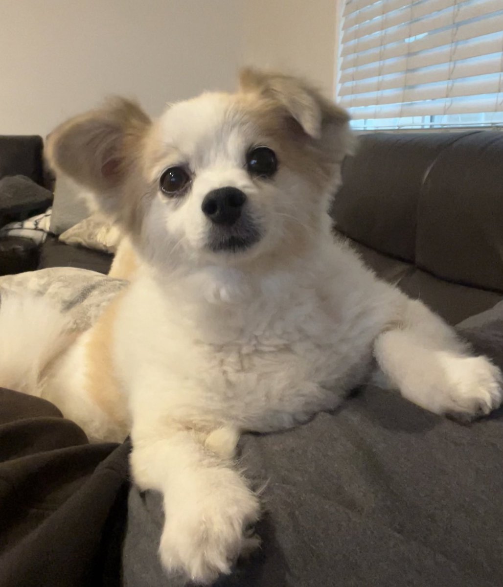 Brian Kibler tweet media