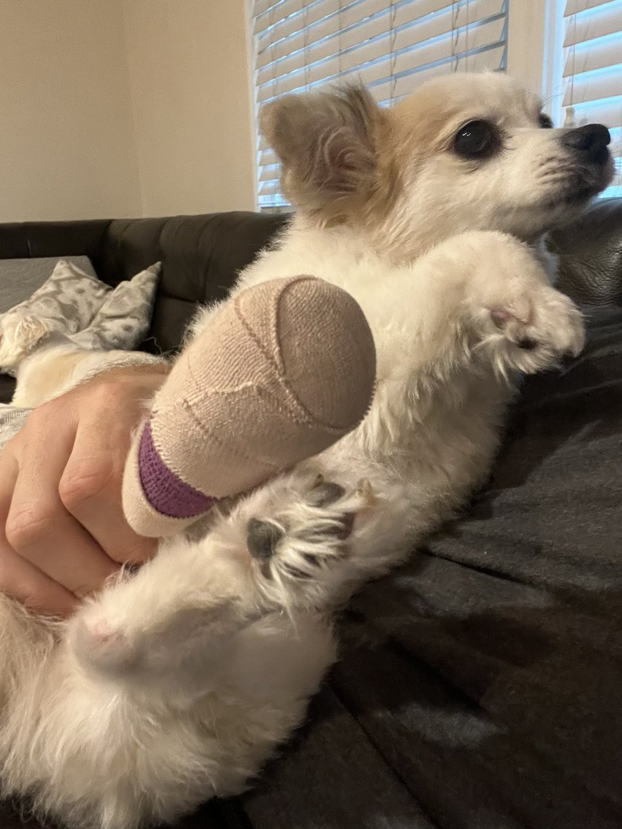 Brian Kibler tweet media