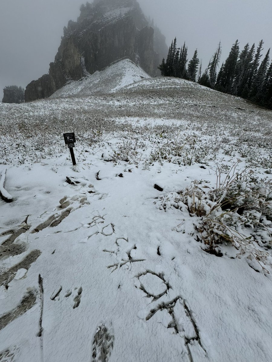 flooziiee's tweet photo. Actually almost died in the mountains. Got stuck in a massive snowstorm for almost 30 hours. I had 2 choices keep going or die. 25 miles through the most difficult terrain I’ve ever been in. The only thing keeping me going was $psyop. https://t.co/aBWEsJjuHD