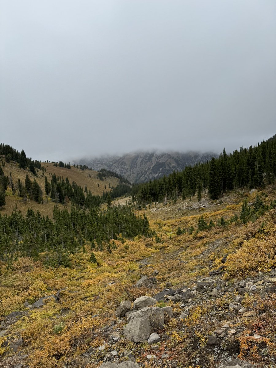 flooziiee's tweet photo. Actually almost died in the mountains. Got stuck in a massive snowstorm for almost 30 hours. I had 2 choices keep going or die. 25 miles through the most difficult terrain I’ve ever been in. The only thing keeping me going was $psyop. https://t.co/aBWEsJjuHD