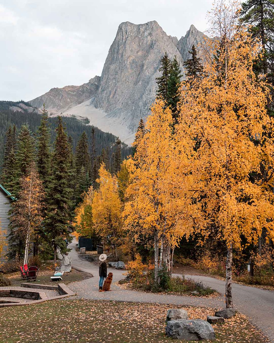 Emerald Lake Lodge tweet media