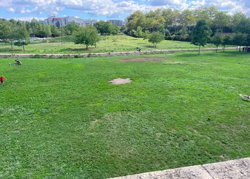 Lyon Pôle Immo tweet media