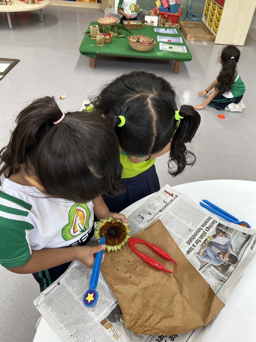 Jesal Umarania (@jesal_umarania) on Twitter photo Curious JKG Ss engaged in sunflower exploration while building their fine motor skills.<a href="/nehaminda/">Neha Minda</a> <a href="/KetakiKTweets/">Ketaki</a> <a href="/farheen_virani/">Farheen Virani</a> <a href="/virani_sana/">Sana Virani</a> Curious JKG Ss engaged in sunflower exploration while building their fine motor skills.<a href="/nehaminda/">Neha Minda</a> <a href="/KetakiKTweets/">Ketaki</a> <a href="/farheen_virani/">Farheen Virani</a> <a href="/virani_sana/">Sana Virani</a>