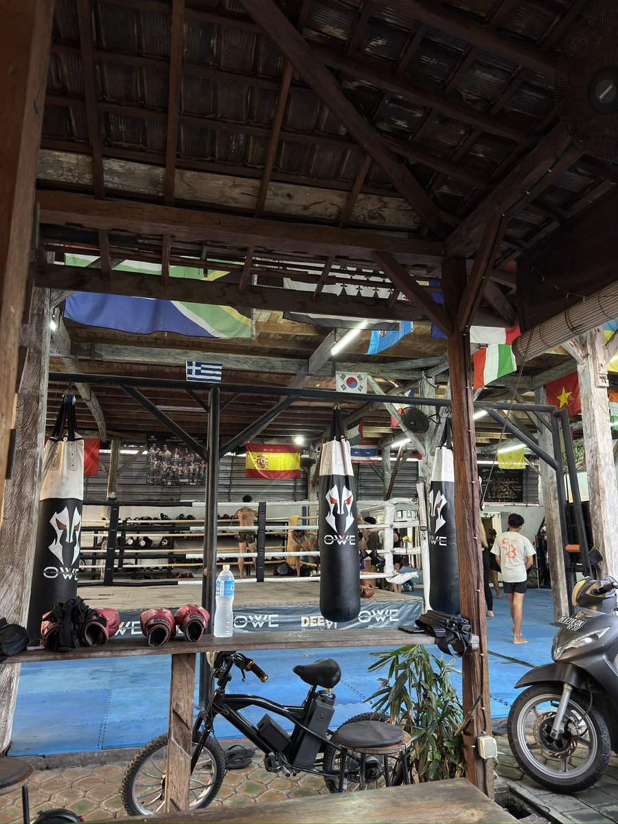 Jadyn Violet tweet media