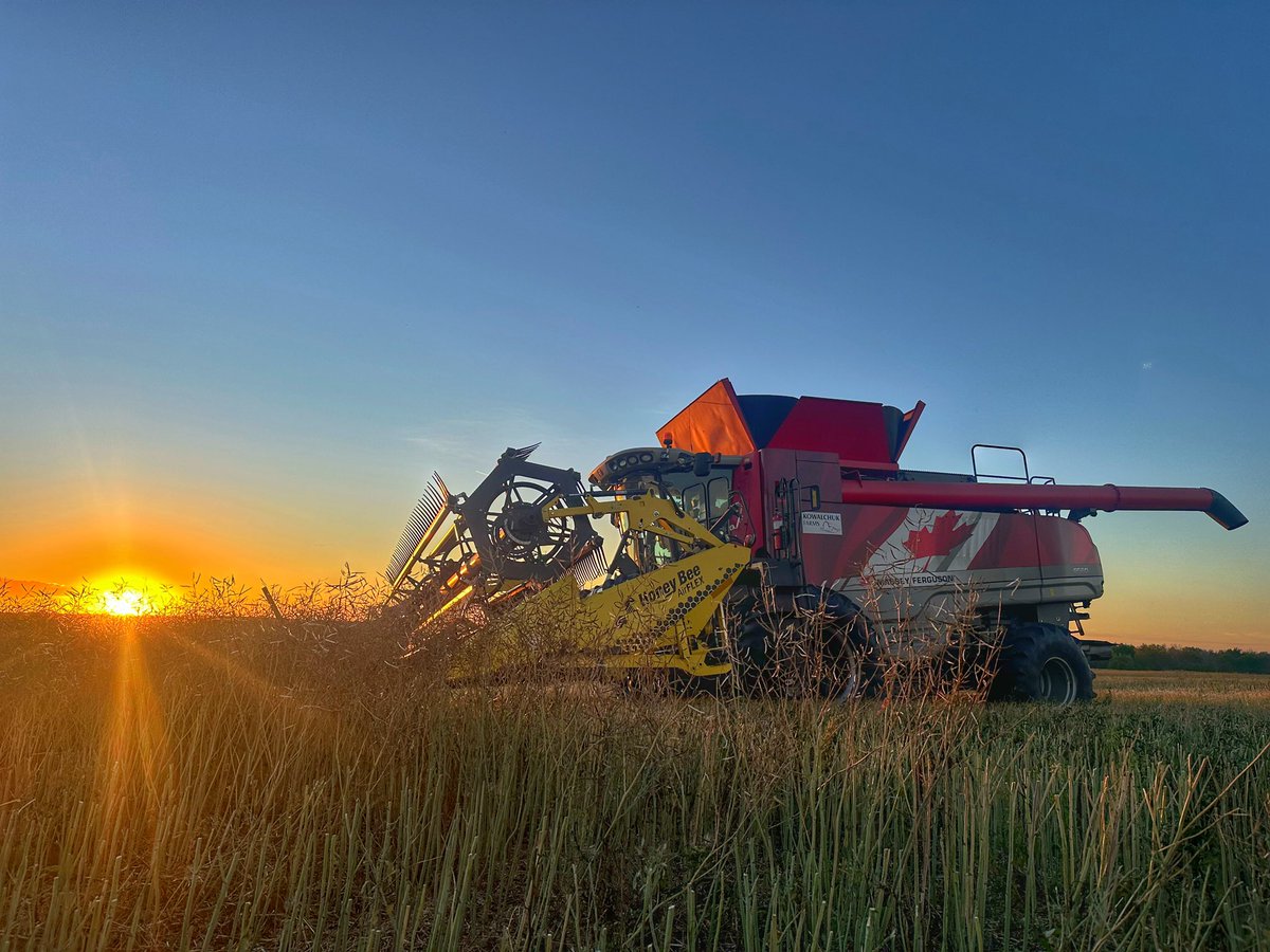 John Kowalchuk🧢 tweet media