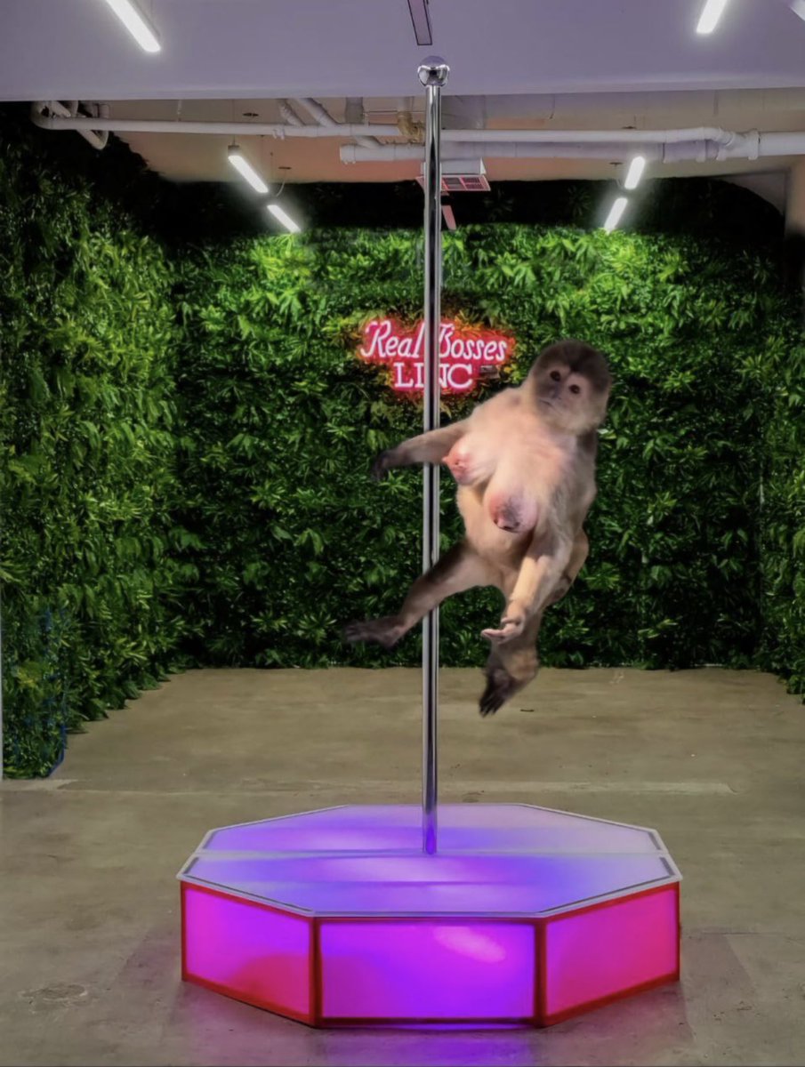 What’s UP with $CCC 

F6k8tQ6x4XkUVo8Qh642CsNsQW182skcroH48hfMpump

TG: t.me/+9TDDrR2ccHw5O…