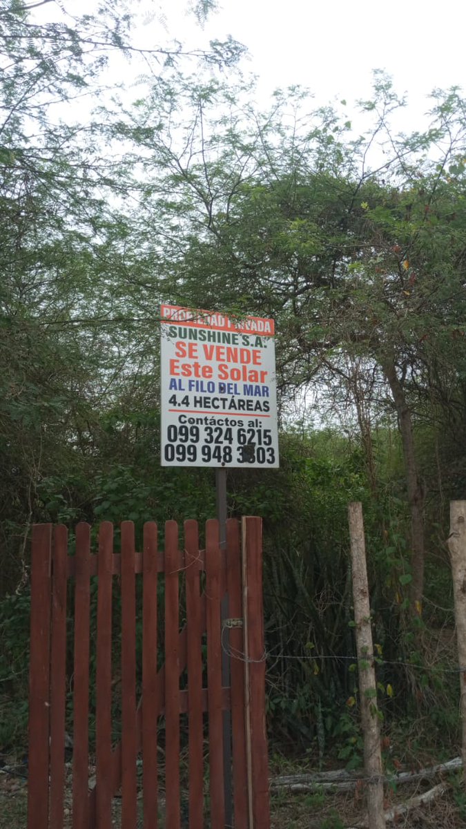 BitacoraAmbiental tweet media