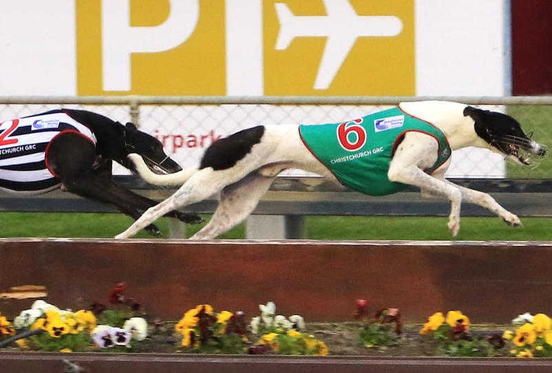 Trackside NZ tweet media