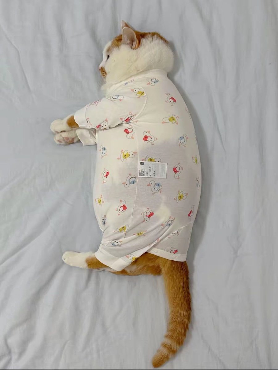 뚱~