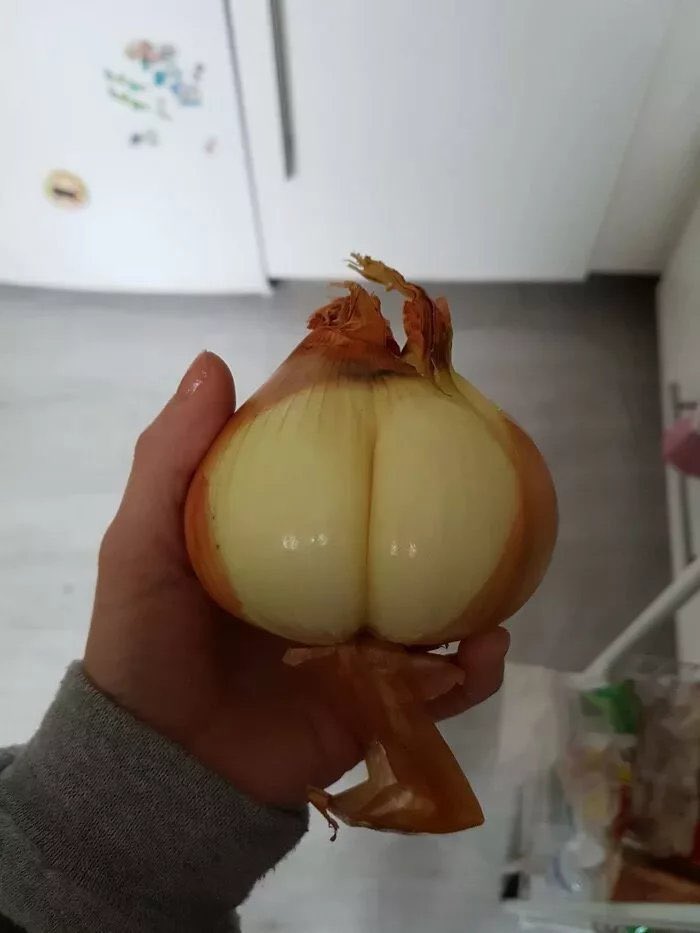 harbizard's tweet image. why is this onion double cheeked up