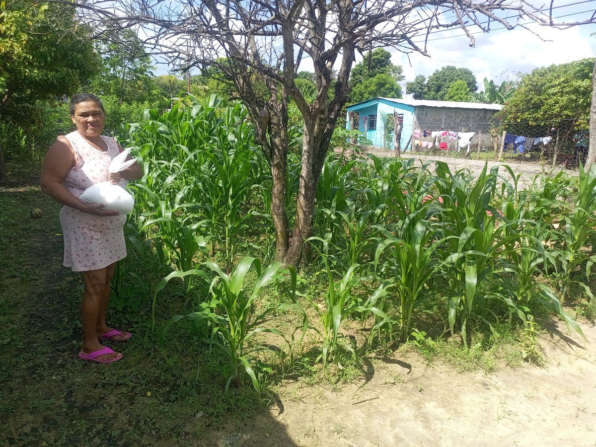 En el sector La Manga, llevamos a cabo una visita técnica 🚜 donde apoyamos a una productora con insumos clave como la urea para fortalecer su cultivo de maíz 🌽. Además, brindamos asesoría técnica para seguir impulsando el crecimiento de su patio productivo. 

#AgriculturaUrbana