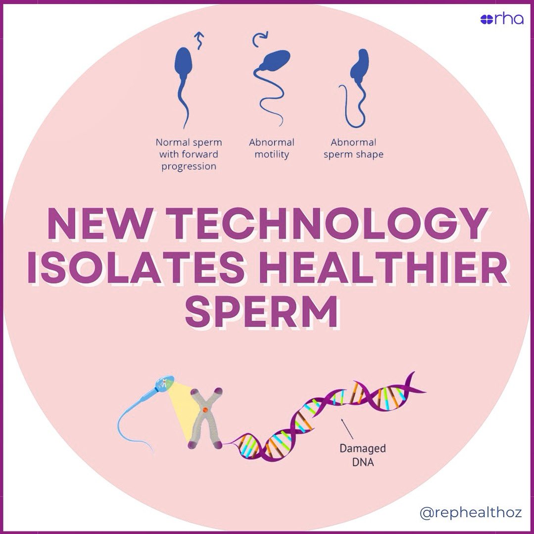 🇦🇺 Aussie researchers are using a #biomimetic #microfluidic sperm-sorter to isolate healthier #sperm for #IVF, selecting those with lower #DNAfragmentation and #highermotility. 

🧬 This could improve #embryoquality, boost implantation rates, and reduce #miscarriage risks.✨
