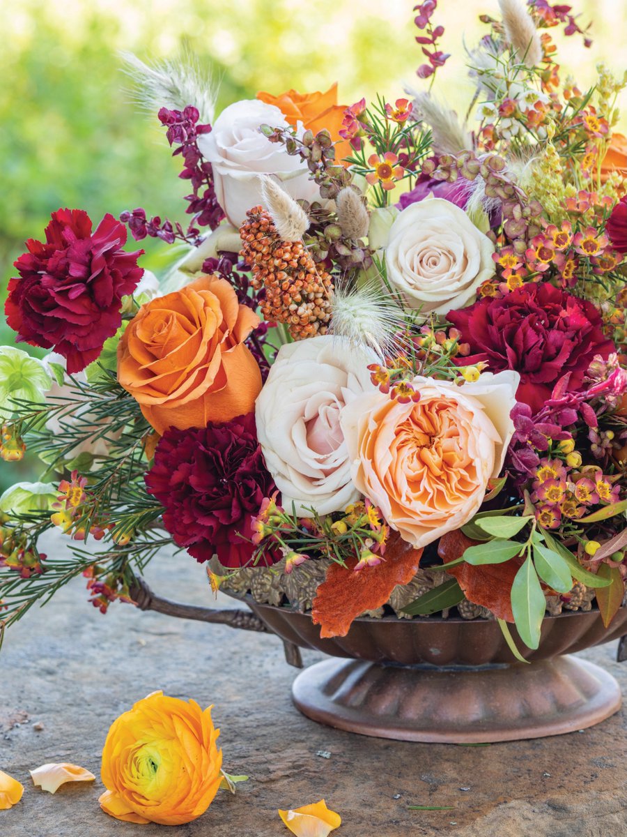 Southern Lady tweet media