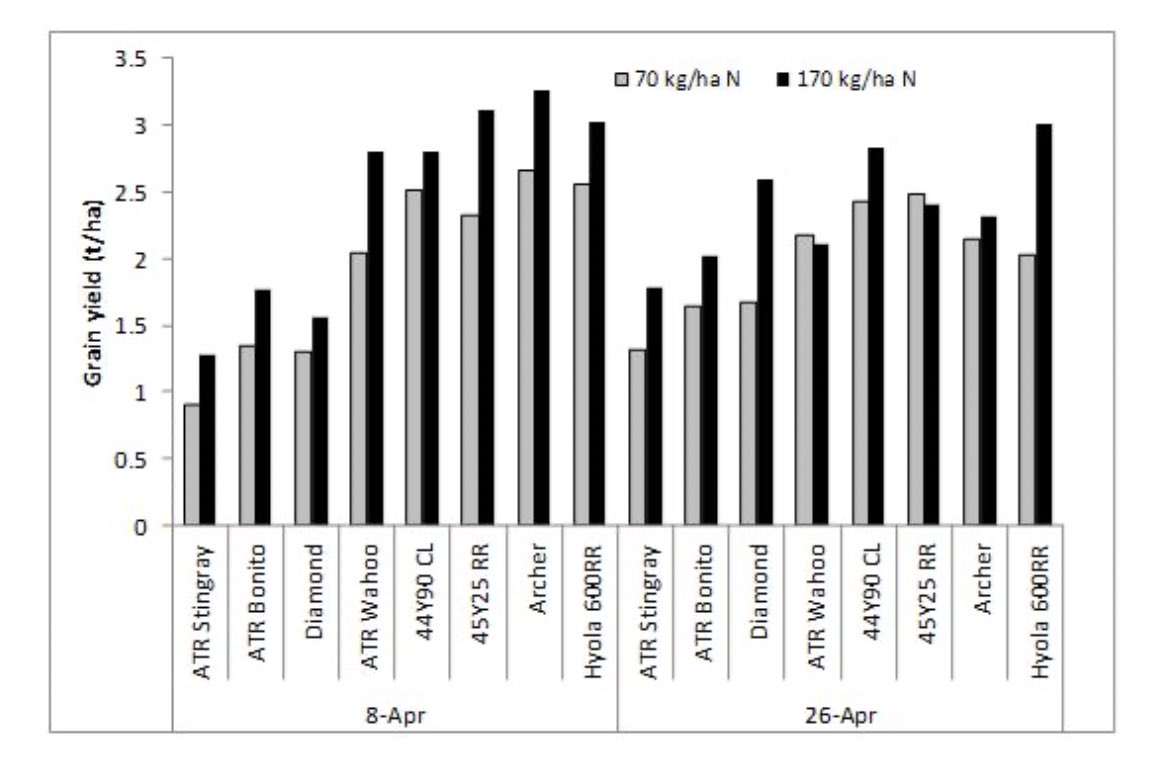 Rohan Brill tweet media