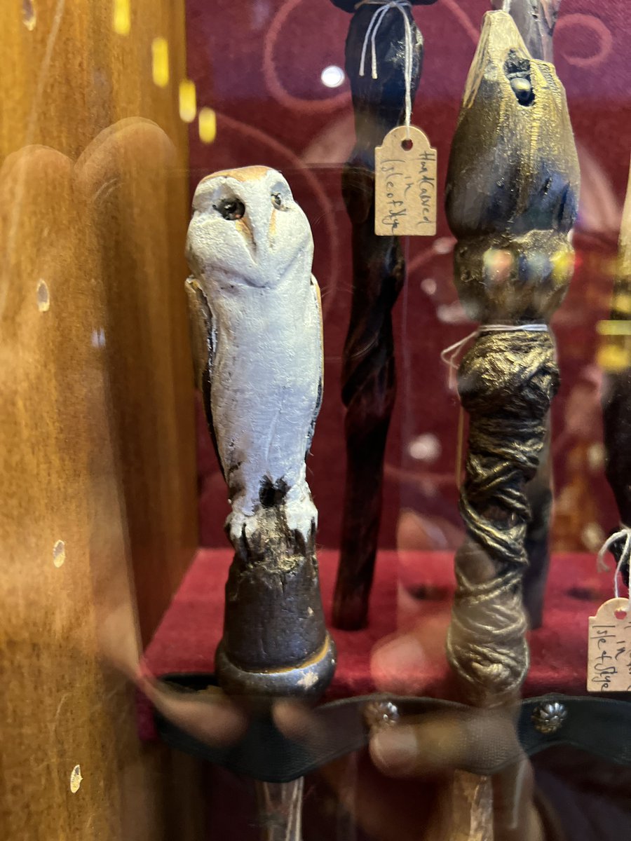 Mack_MazdaX's tweet image. Just wow #owl #synchronicity at #spellbox Melbourne 🧡🦉🧡