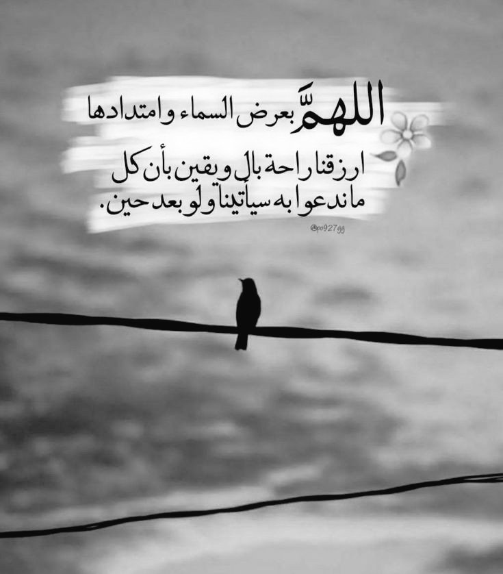 قح ـطـآن 🇮🇶 tweet media