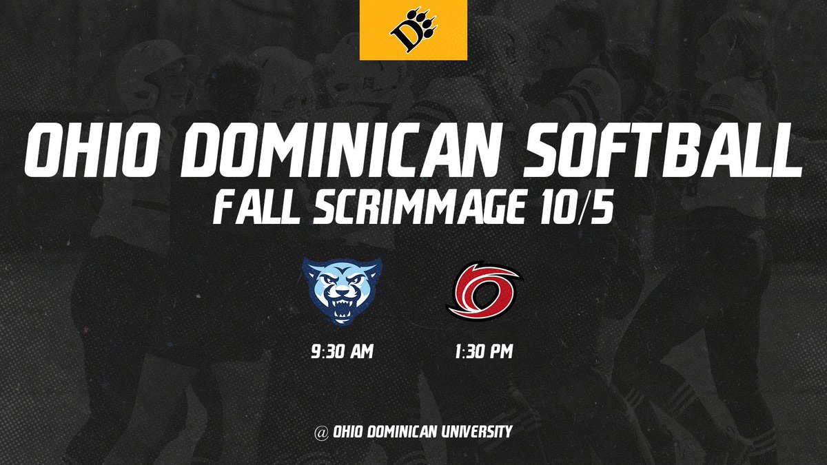 Ohio Dominican Softball tweet media