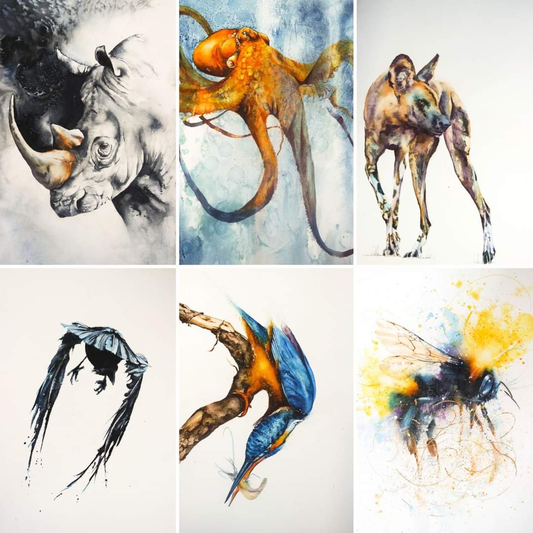 Elidanza's tweet image. Hope you're all having a cosy evening, it feels like there's a chill in the air as we head into autumn. 
I was scrolling through my artwork from this year...wildlife always plays a big part in my repertoire...which of is your favourite ?

#wildlife #watercolour #favourite #art