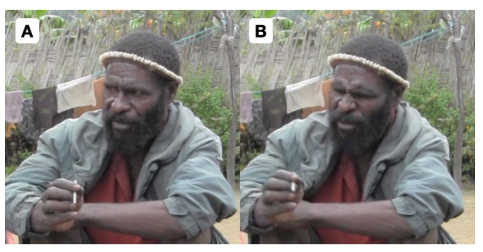 kensycoop's tweet image. New preprint!! 📣📣
A review of gesture in New Guinea, covering: pointing, emblems, time gestures, body count systems, and facial expressions.
The region remains woefully under-documented, but there are still plenty of intriguing observations.
osf.io/preprints/psya…