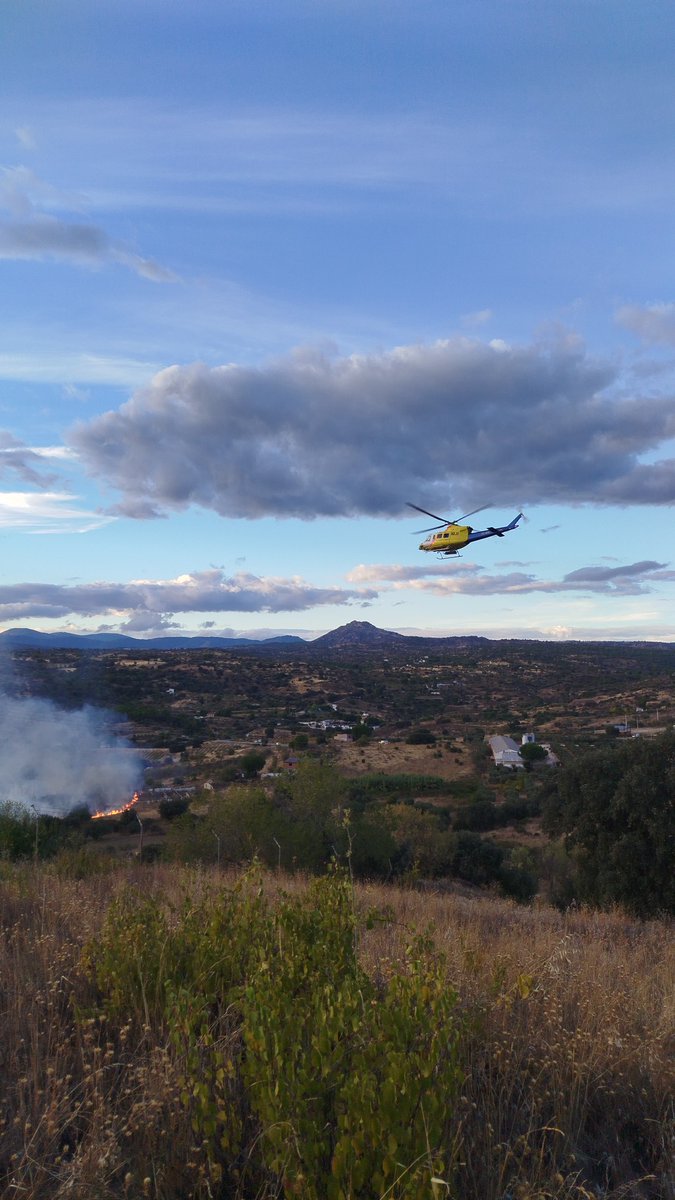 #iiffAlmorox <a href="/OscarBForestal/">Óscar.</a>