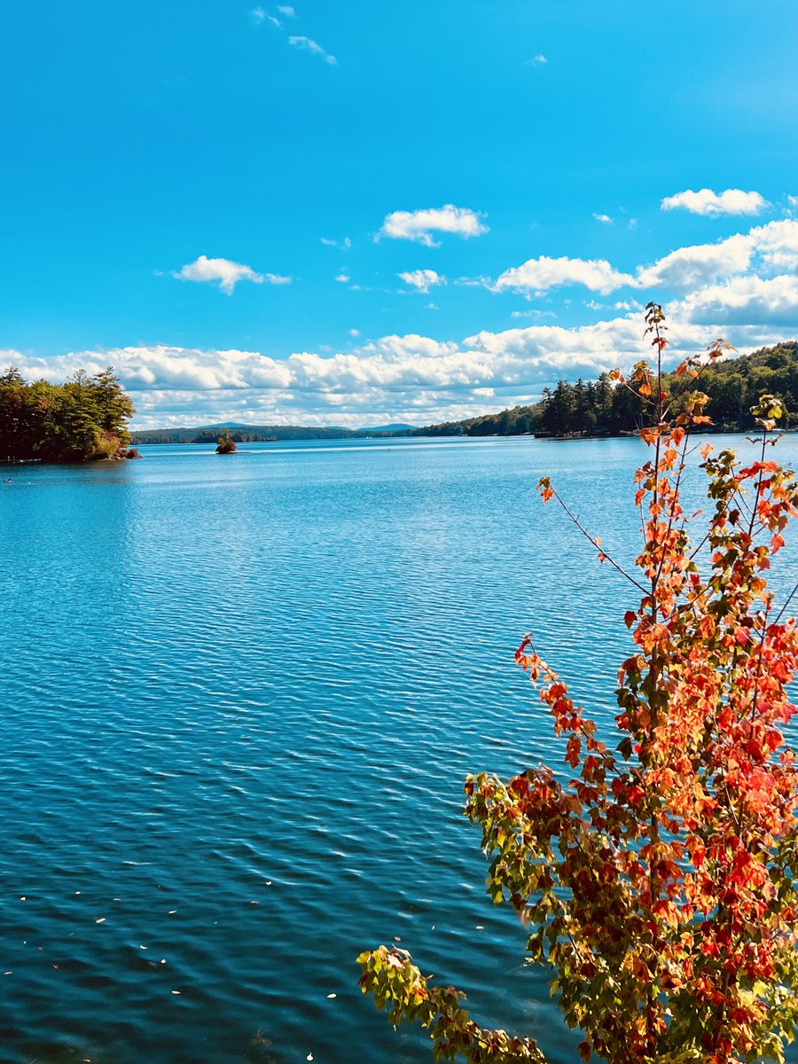 AnnMariSheerio's tweet image. Afternoon walk view🍂
#AutumnVariations